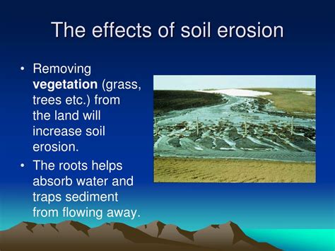 soil erosion effects on living things|Major causes and effects of soil erosion on people and the .